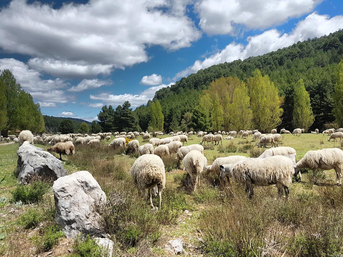 Отель Enclave Soria Эррерос Экстерьер фото